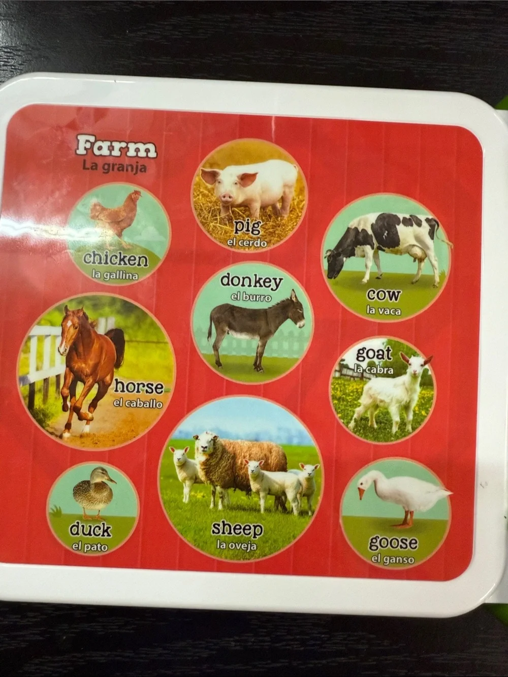 LeapFrog 100 Animals Book - Yellow & Green Interactive Learning Toy